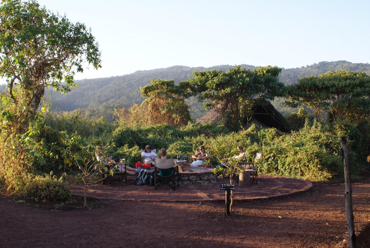 Crater Forest Tented Lodge Karatu Exteriör bild